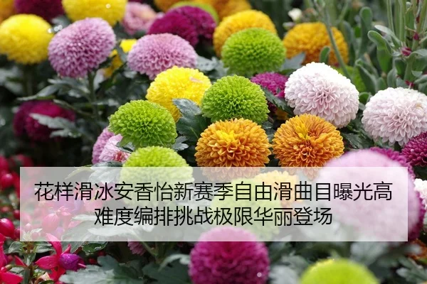 hua-yang-hua-bing-an-xiang-yi-xin-sai-ji-zi-you-hua-qu-mu-bao-guang-gao-nan-du-bian-pai-tiao-zhan-ji-xian-hua-li-deng-2-177.jpg